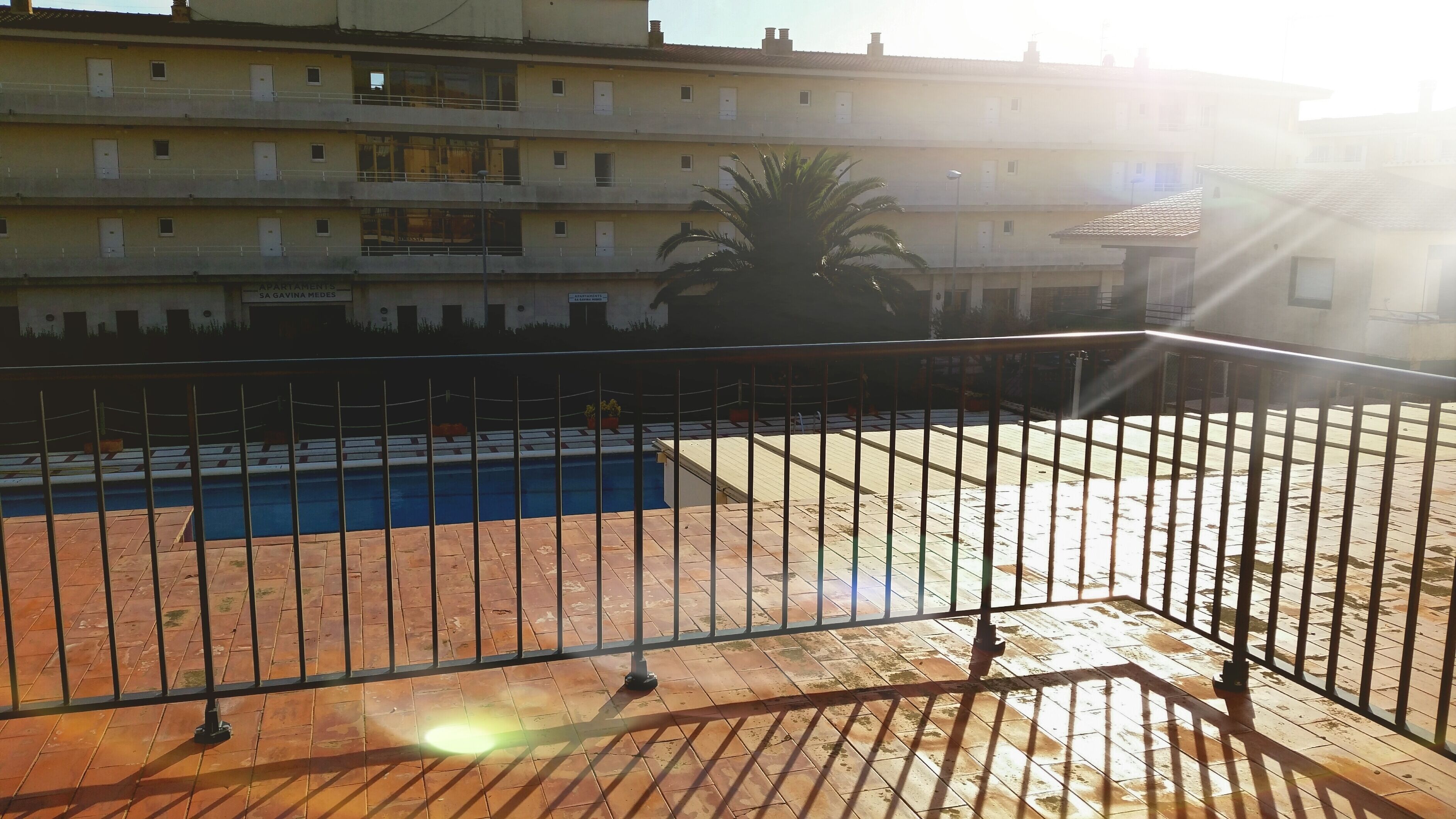 A rooftop terrace with a swimming pool, a palm tree, and a building with multiple balconies in the background.