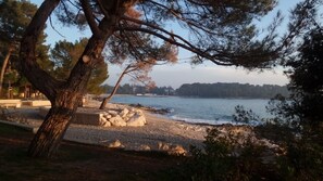Plage à proximité