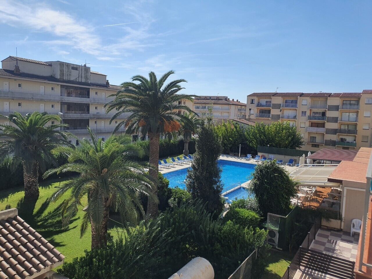 Zona residencial con piscina rodeada de palmeras y cielo azul despejado.