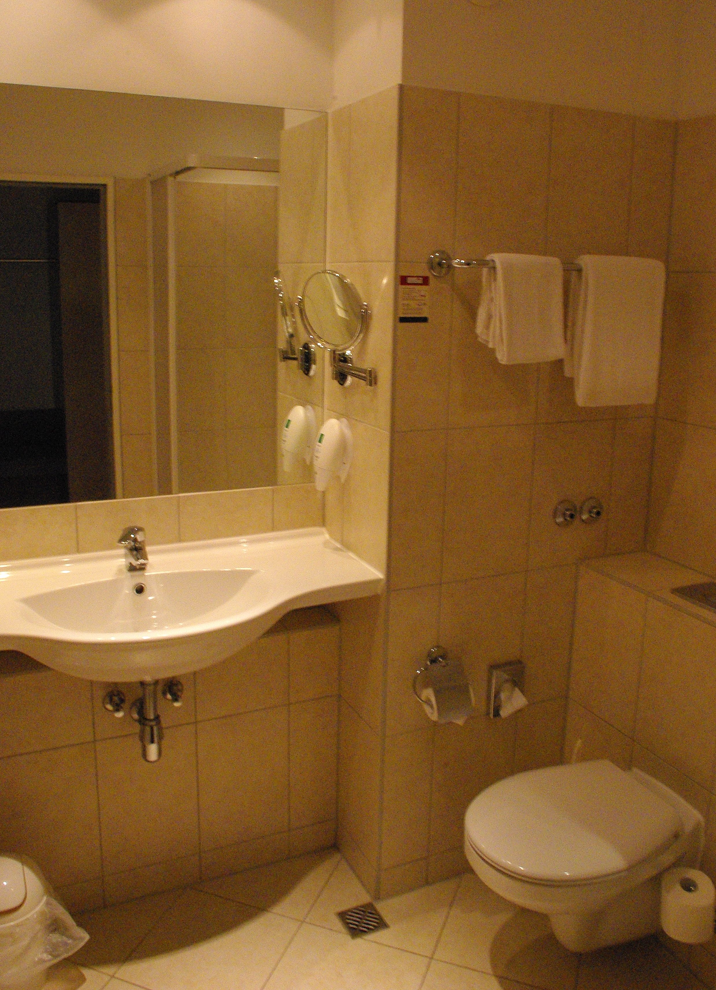 Ein Badezimmer mit Waschbecken, Spiegel, Handtuchhalter und Toilette.