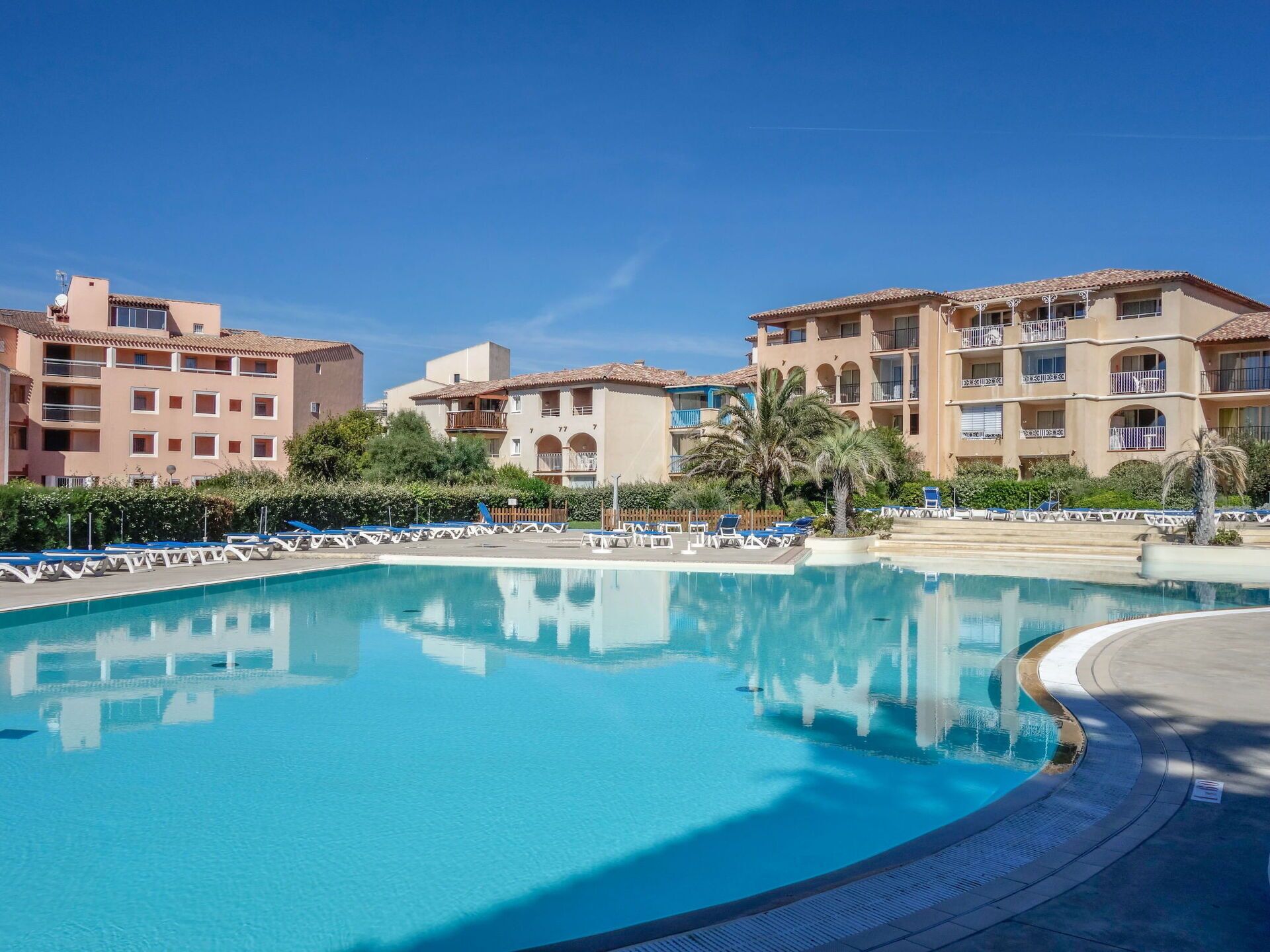 Ein klarer, blauer Pool, umgeben von Liegestühlen und Palmen, mit mehrstöckigen Gebäuden im Hintergrund.