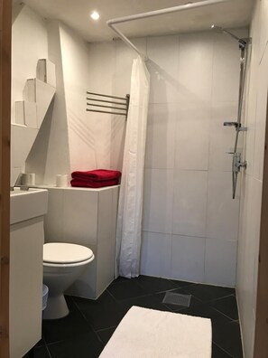 Bathroom features a toilet, sink, and shower area with a handheld showerhead.