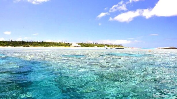 A clear view of a beach with turquoise water, a sandy shore, and a distant shoreline with vegetation and buildings. - Winbell Okinawa Nago Coral View (Nago)