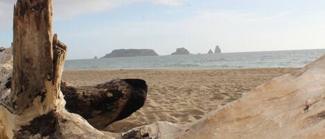 A sandy beach with large driftwood pieces and distant rocky formations.