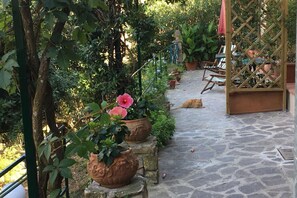 テラス / パティオ