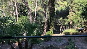 Terrain de l’hébergement 