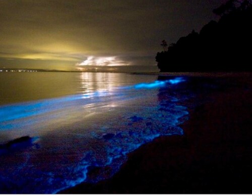 Casa Grande~3 Bedroom~luxury Private Development