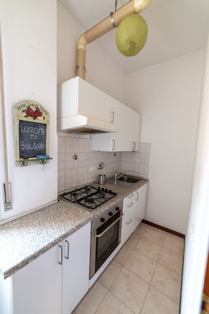 Apartment, 2 Bedrooms | Shared kitchen | Fridge, oven, stovetop, cookware/dishes/utensils - Bologna Fiera Guest House (Bologna)