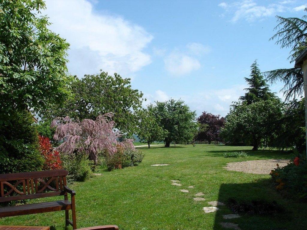 Um jardim com um banco, céu claro e diversas árvores.