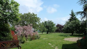 Um jardim com um banco, céu claro e diversas árvores.