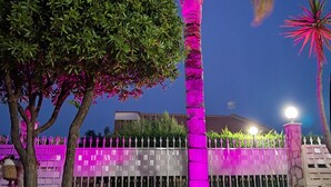 A well-maintained garden with a variety of trees, including a prominent palm tree illuminated with pink lights.