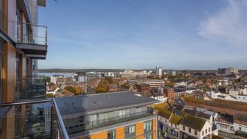 House (1 Bedroom) | Balcony view
