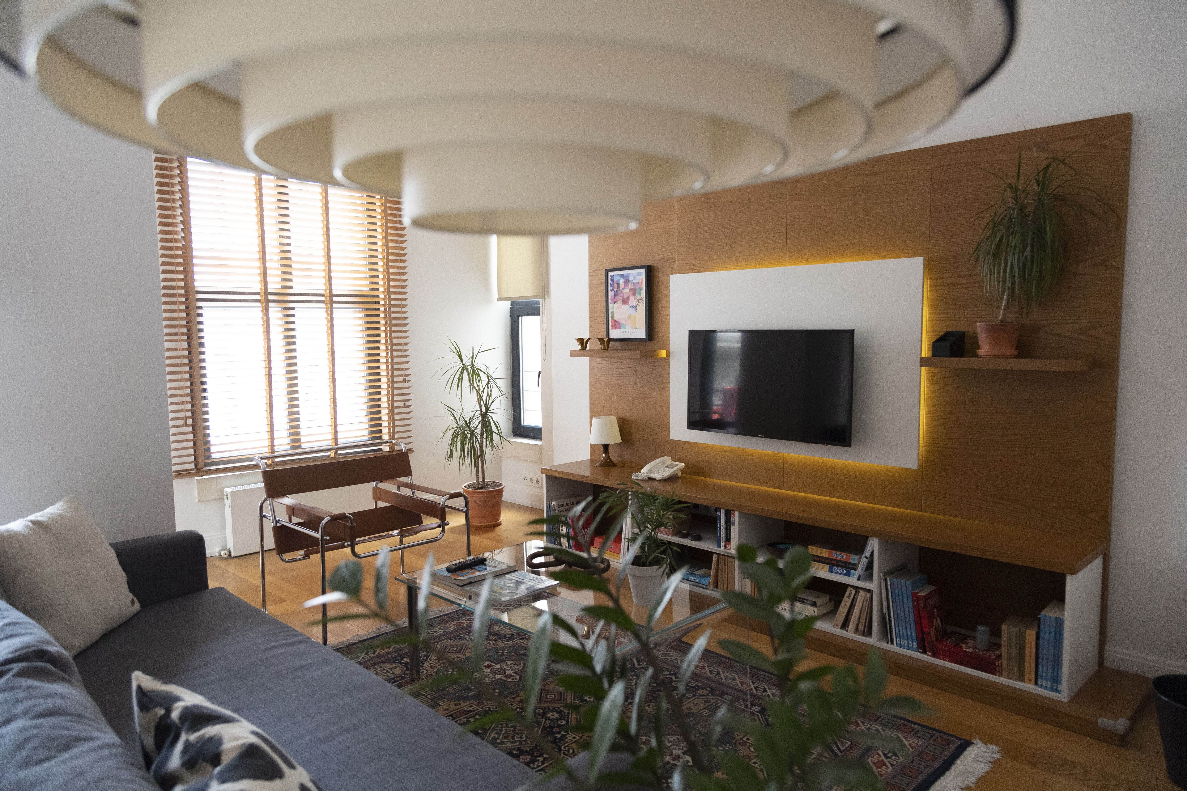 Un salon moderne avec un canapé, une table basse, un téléviseur, une bibliothèque et une plante en pot.