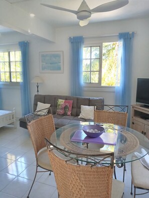 Tv, eldstad och böcker