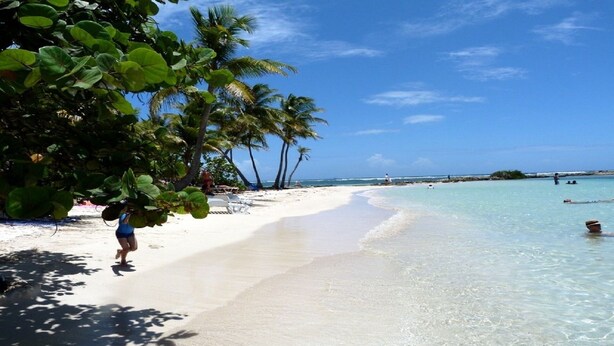A beach with clear turquoise water, palm trees, and a sandy shore.