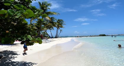 Studio de charme dans un jardin tropical. avec piscine, wifi et parking gratuits