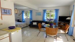 TV, lareira, livros