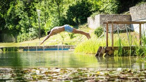 Iemand duikt een watermassa in, met een houten constructie en groen in de achtergrond.