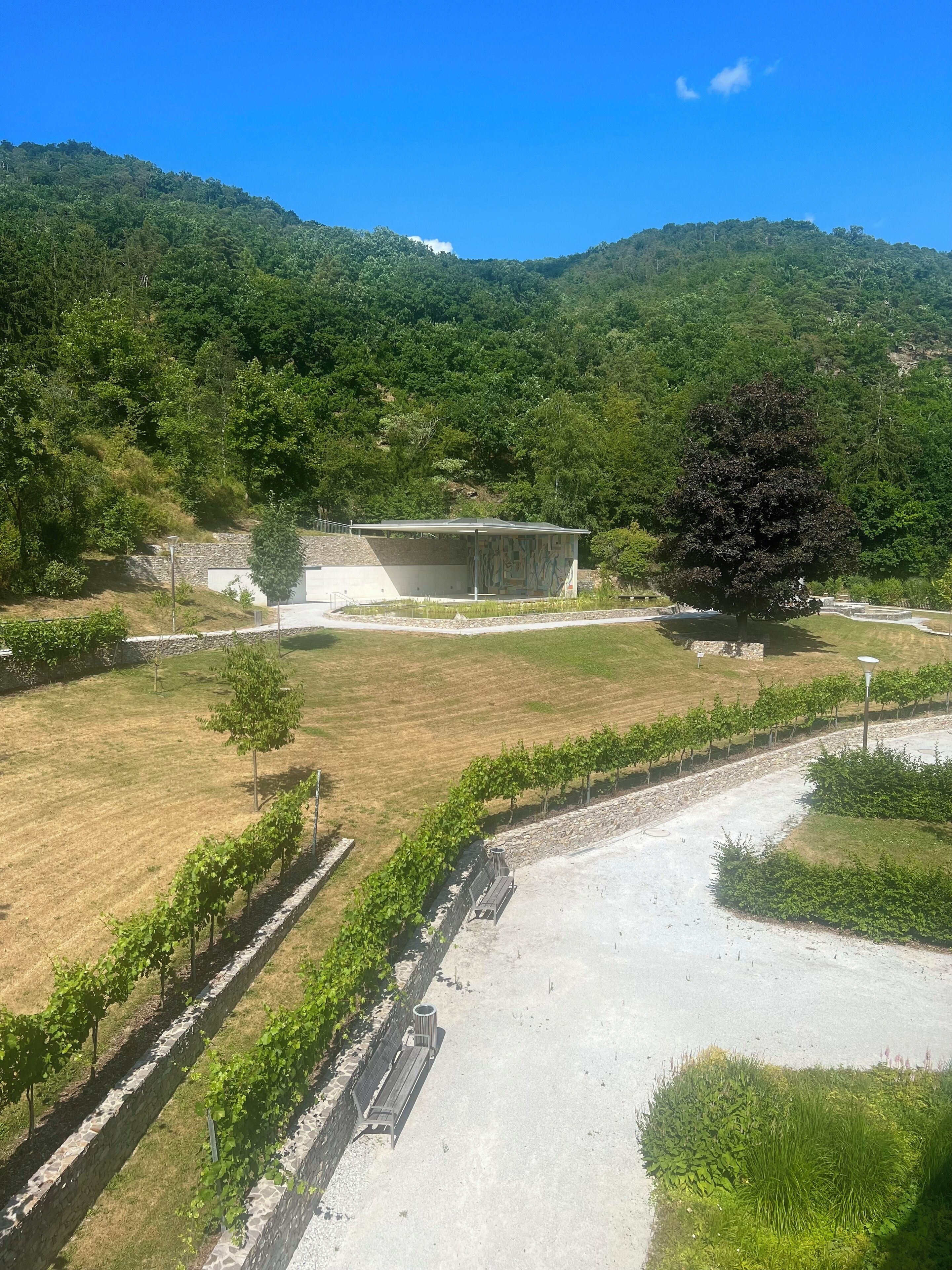 A building with a flat roof and a stone wall, surrounded by a grassy area with a row of grapevines and a bench.