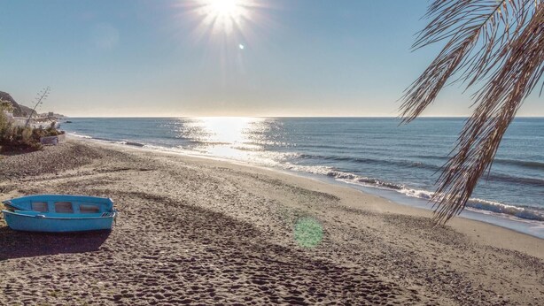 A beach with a boat, palm trees, and a clear sky.