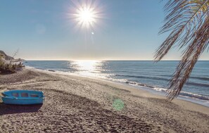 A beach with a boat, palm trees, and a clear sky.