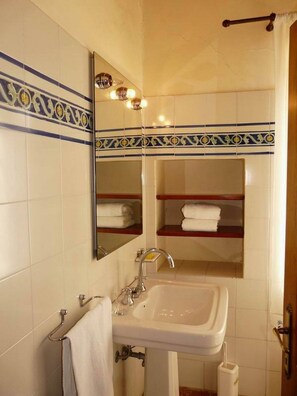 Shower, hair dryer, bidet, towels