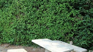 A stone bench with a flat top and four legs, situated outdoors with a dense green hedge in the background. - Charming farm with garden and BBQ in Bérigny (Bérigny)