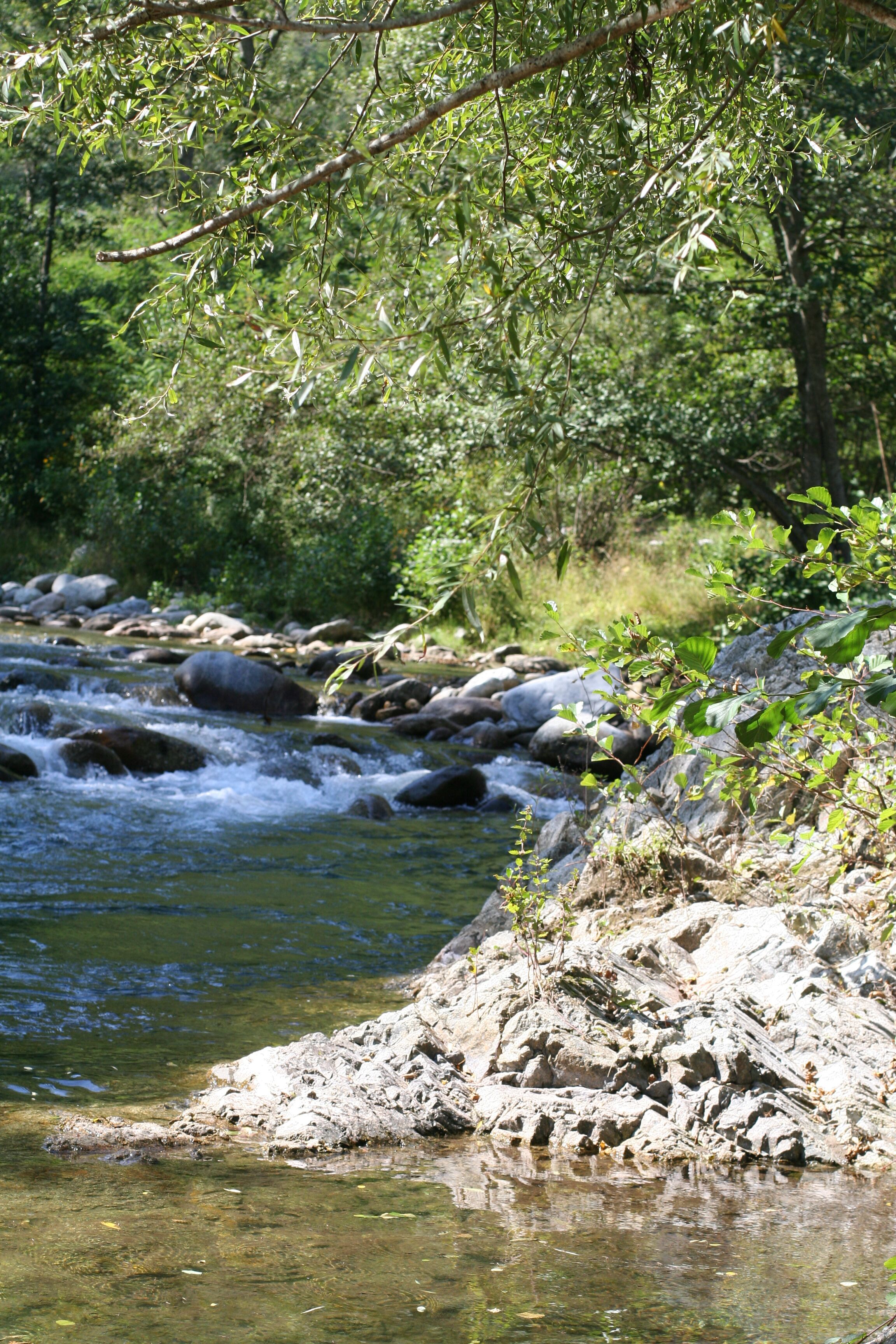 Un río que serpentea a través de un paisaje rocoso con abundante vegetación.