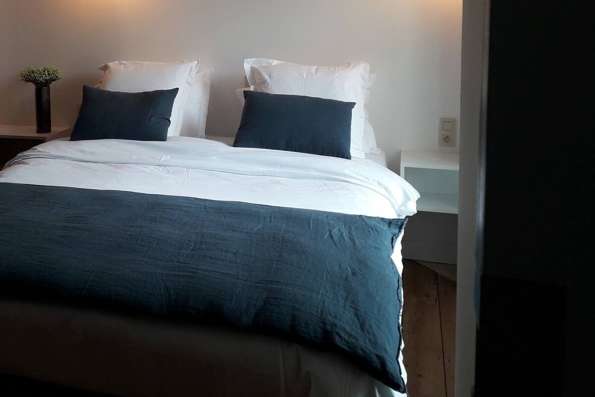 A neatly made bed with white and dark blue bedding, two bedside lamps, and a small plant on a nightstand.