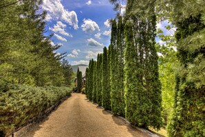 Property grounds - Fork and Fir Retreat - Cozy Family Cabin I Game Room I Stunning Views I Hot Tub (Sevierville)