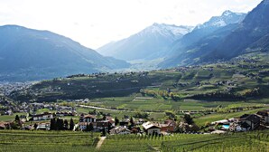 A valley with houses, vineyards, and mountains. - Schenna Garni Eden Bed & Breakfast (Schenna)