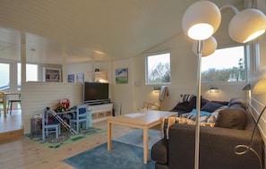 TV, fireplace, DVD player
