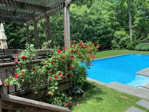 Une terrasse en bois avec une pergola, une piscine et un jardin agrémenté de rosiers rouges.