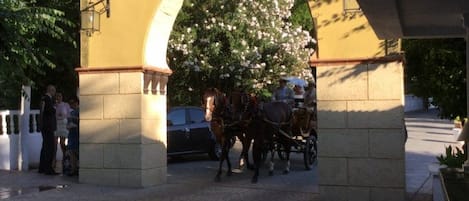 An outdoor area with a stone archway, a horse-drawn carriage, and a building with a yellow facade.