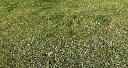 Cozy Cottage Close to Fantastic Beach!