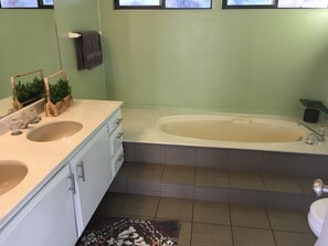 Hair dryer, towels, soap, toilet paper - Mountaintop open home living-pool, hot tub & views! (Ukiah)