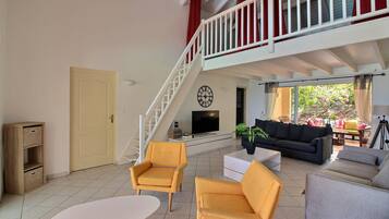 Een televisie, een open haard, een dvd-speler en boeken