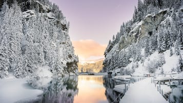 Ett stilla vinterlandskap med en frusen sjö, snötäckta träd och ett berg i bakgrunden.