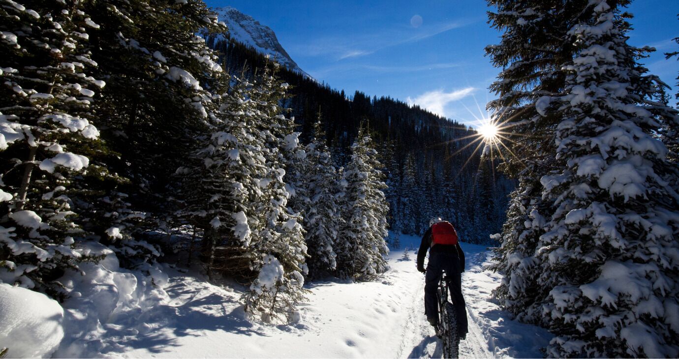 A snow-covered forest path with a person riding a bike, surrounded by tall evergreen trees and a mountain in the background.