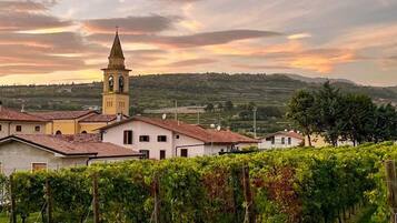 Un vignoble avec des rangées de vignes, une église dotée d’un clocher et des bâtiments aux toits recouverts de tuiles rouges.