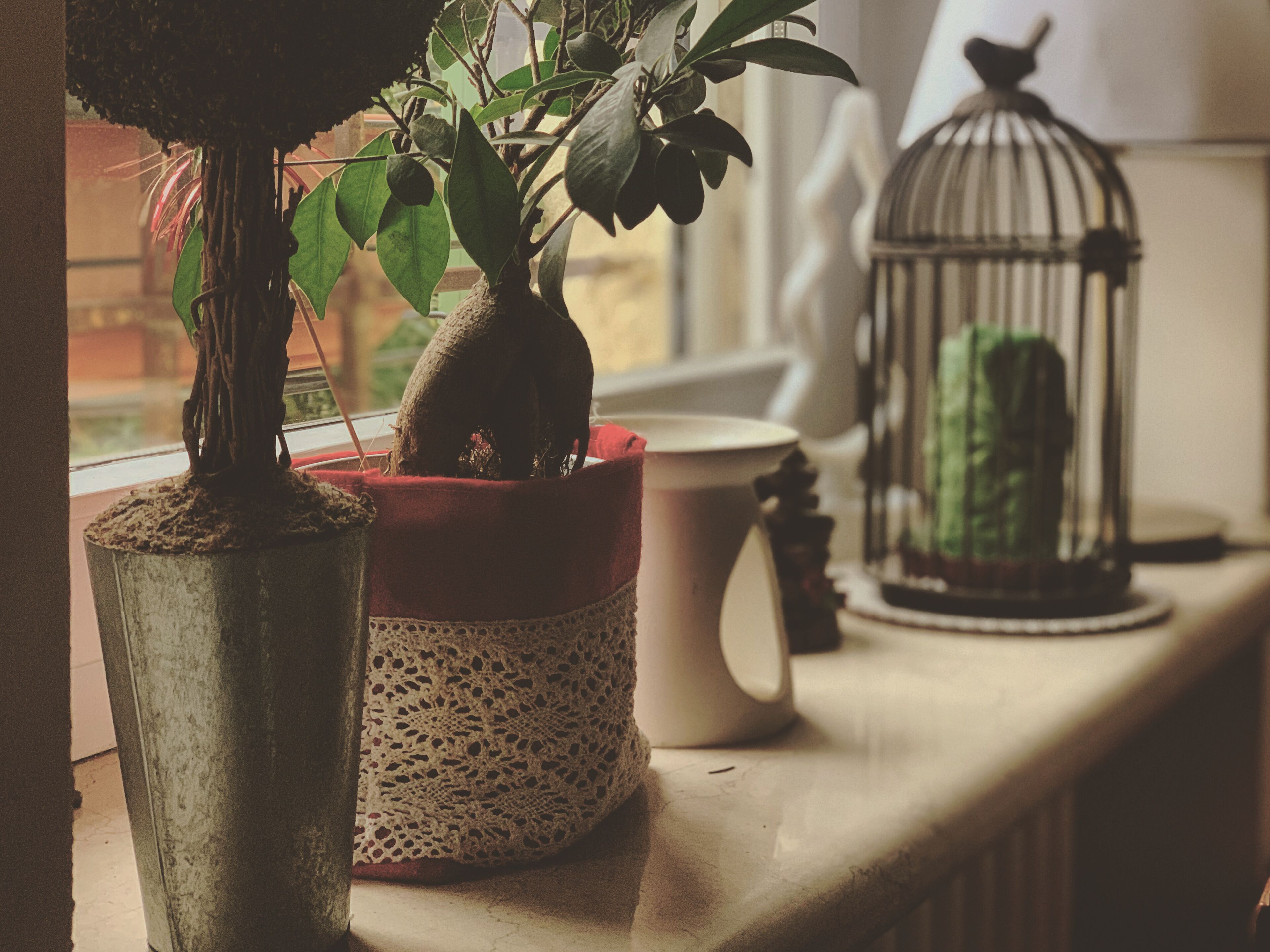 A potted plant, a birdcage, and a ceramic mug on a windowsill.