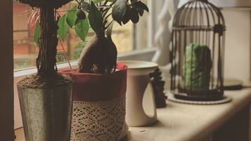 A potted plant, a birdcage, and a ceramic mug on a windowsill.