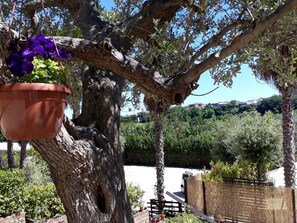 Garden - Agave Resort (Massignano)