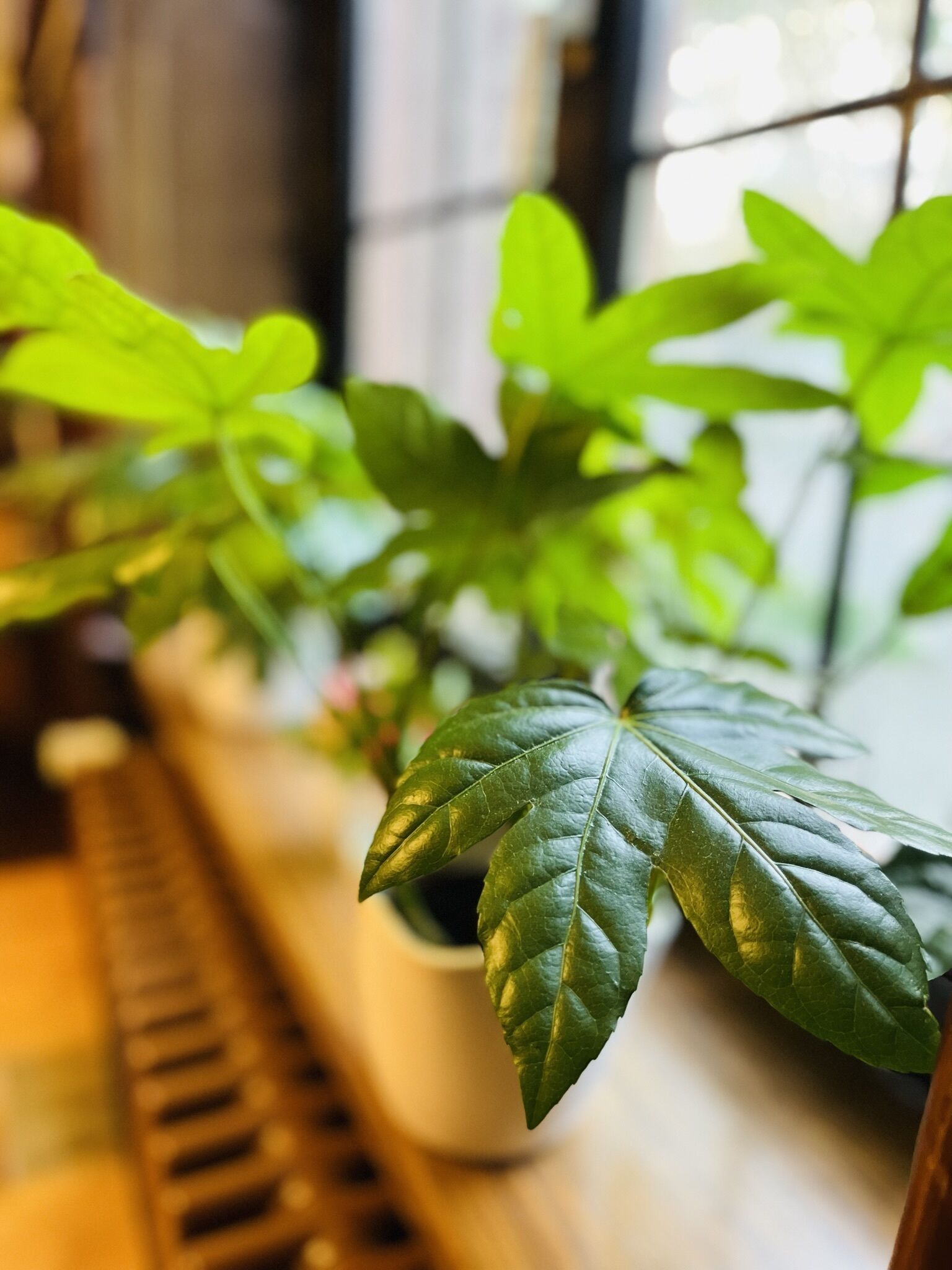 Photo - Hotel Hoepfner Burghof