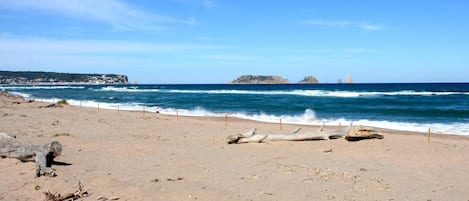 Nära stranden