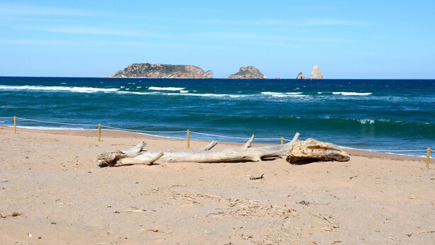 Una playa arenosa con ramas flotantes y una barrera de cuerda.