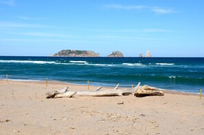 Una playa arenosa con ramas flotantes y una barrera de cuerda.