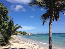A beach with clear turquoise water, palm trees, and a sandy shore.