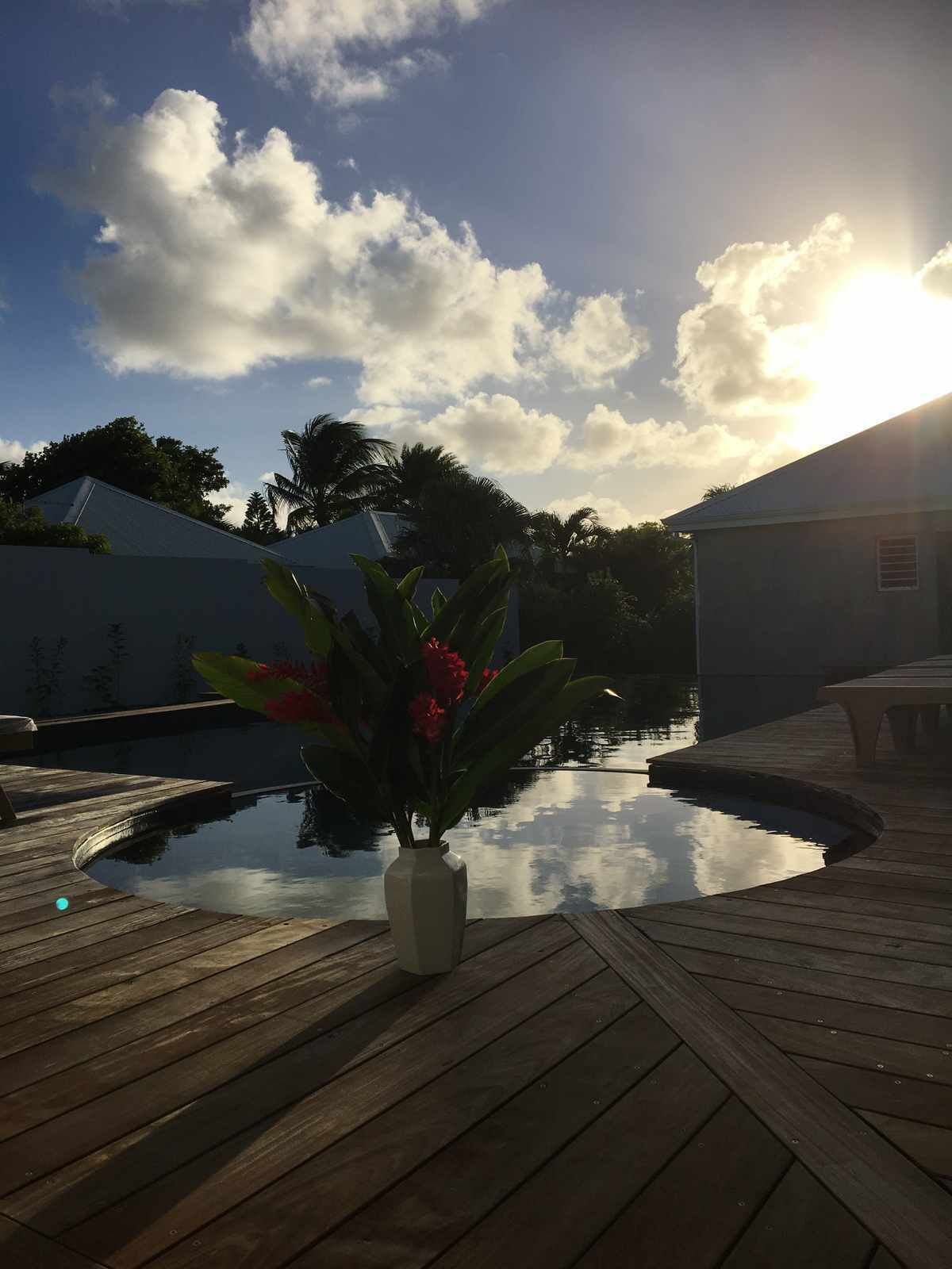 Una terraza de madera con una piscina pequeña, rodeada de follaje y un cielo despejado.