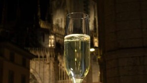 A hand holding a glass of champagne in front of a historic building with intricate architecture. - AHD Rooms (Milan)